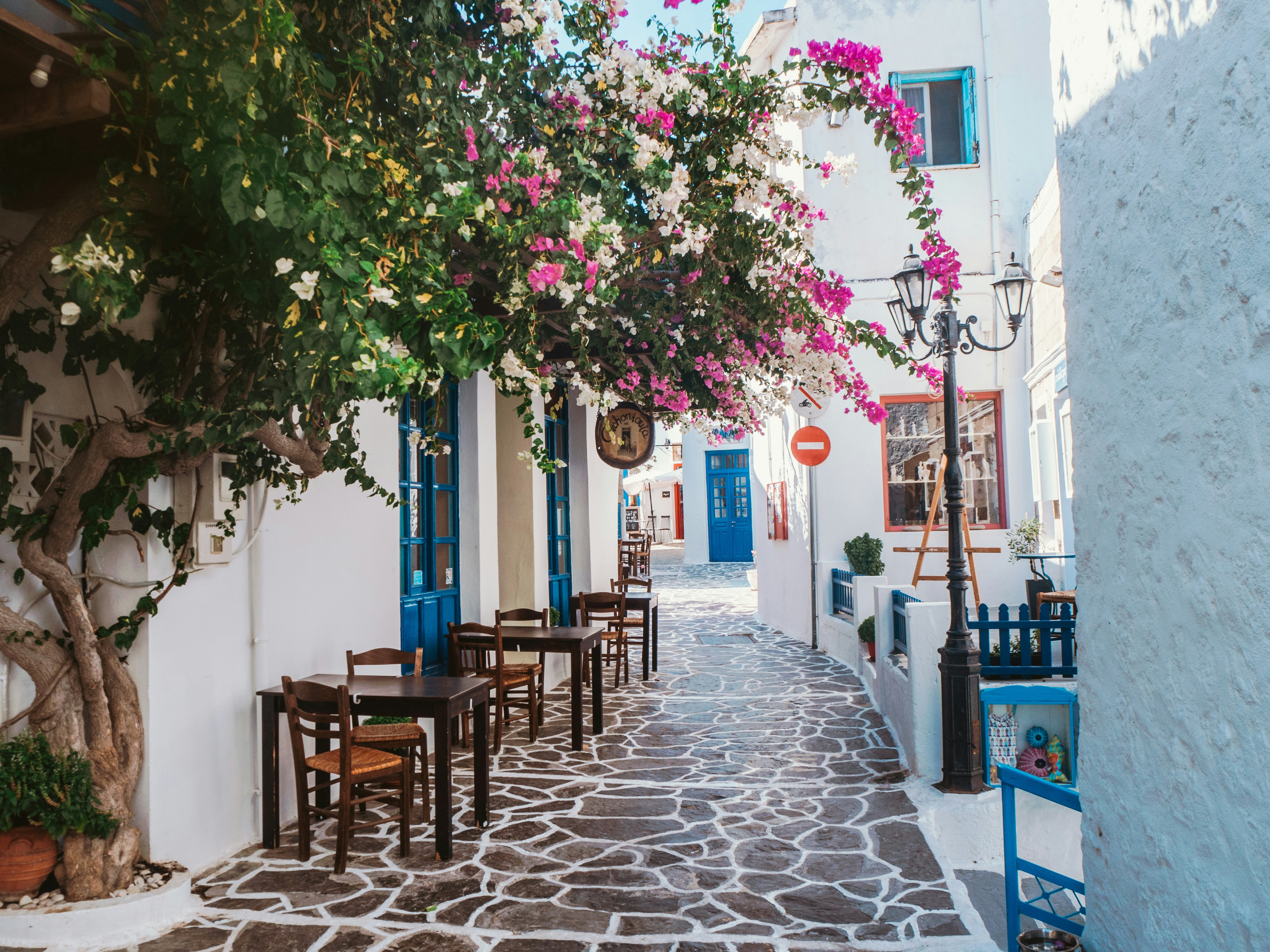 Malerisk gade i en hvid græsk landsby med smukke blomster