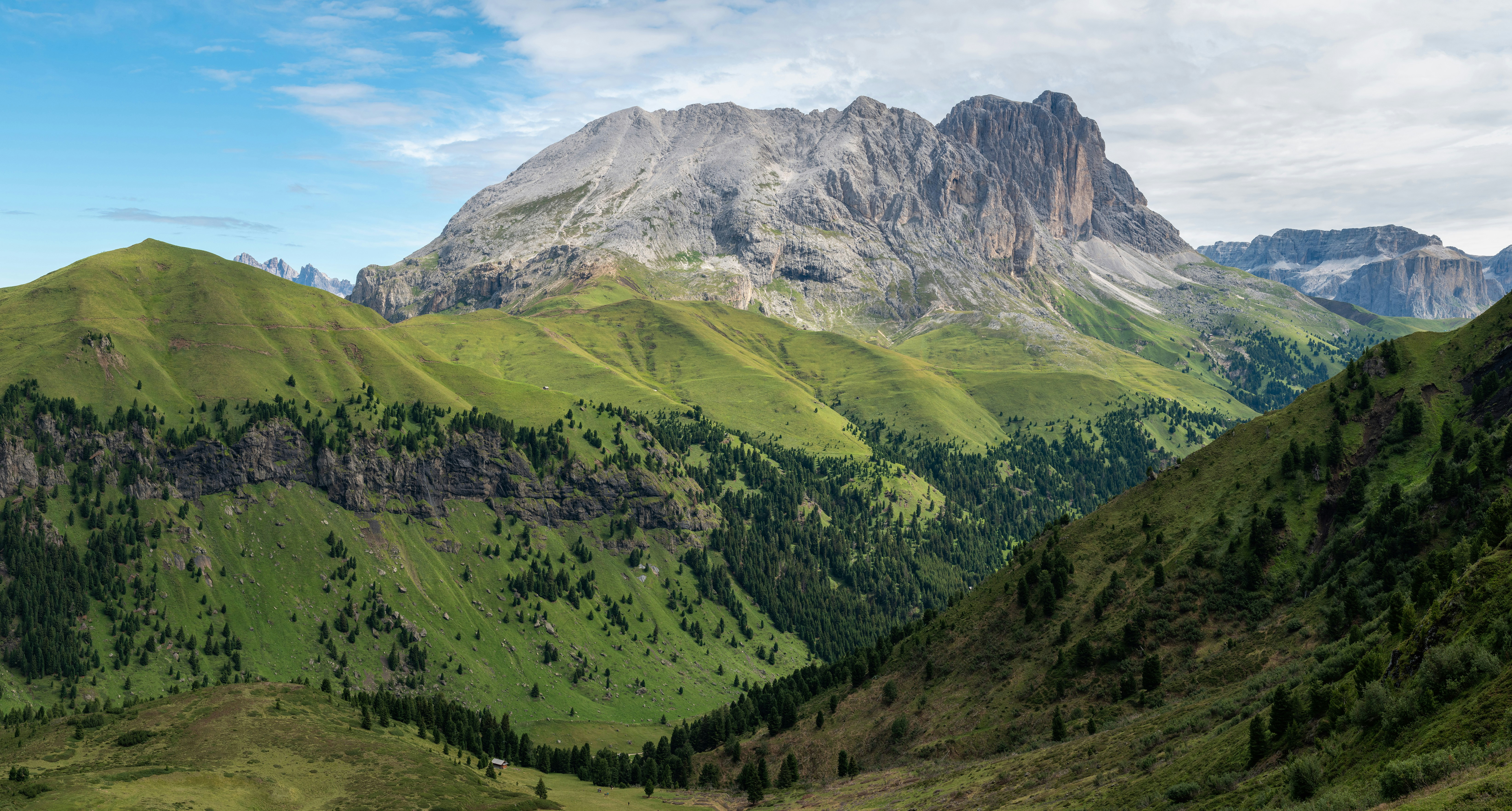 Grønne områder og træer op mod bjerge i baggrunden i Alperne