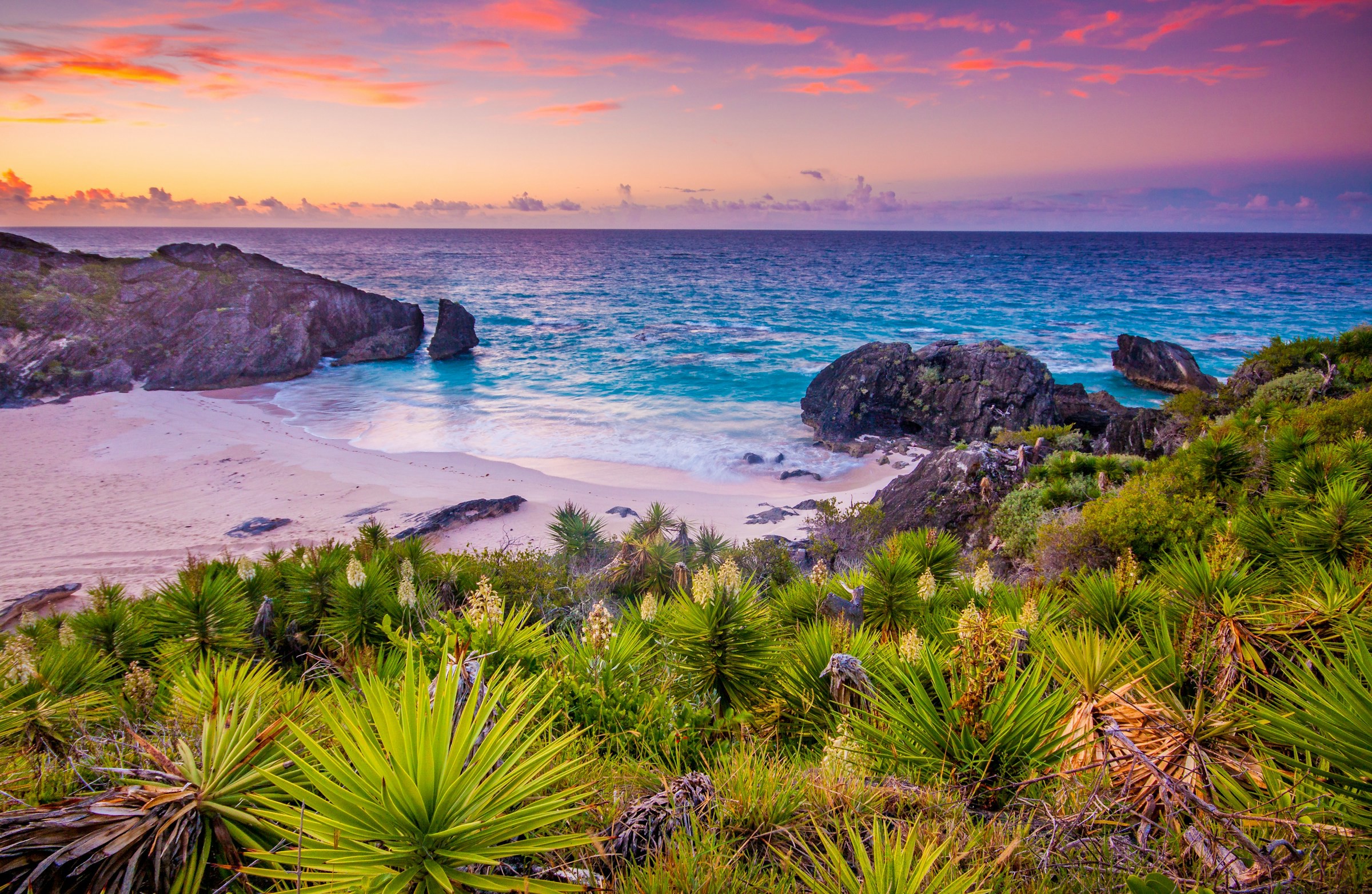 Smukke buske fører ned til en rolig strand med klipper og blåt hav i en lyserød solnedgang på Bermuda