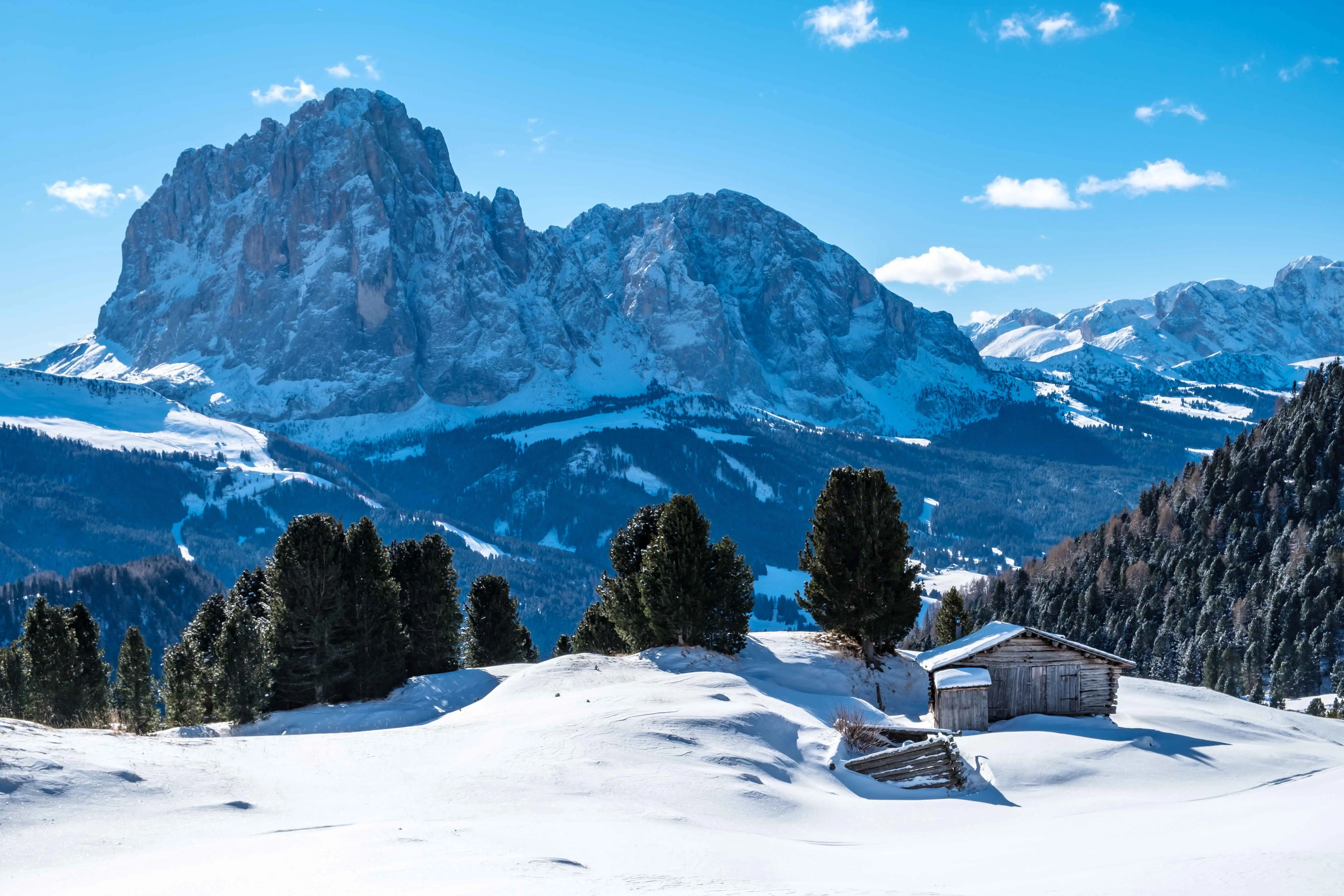 Travel to Champoluc - Snow-covered forest perched on a hill among beautiful cliffs and mountains in the background in Champoluc, Italy