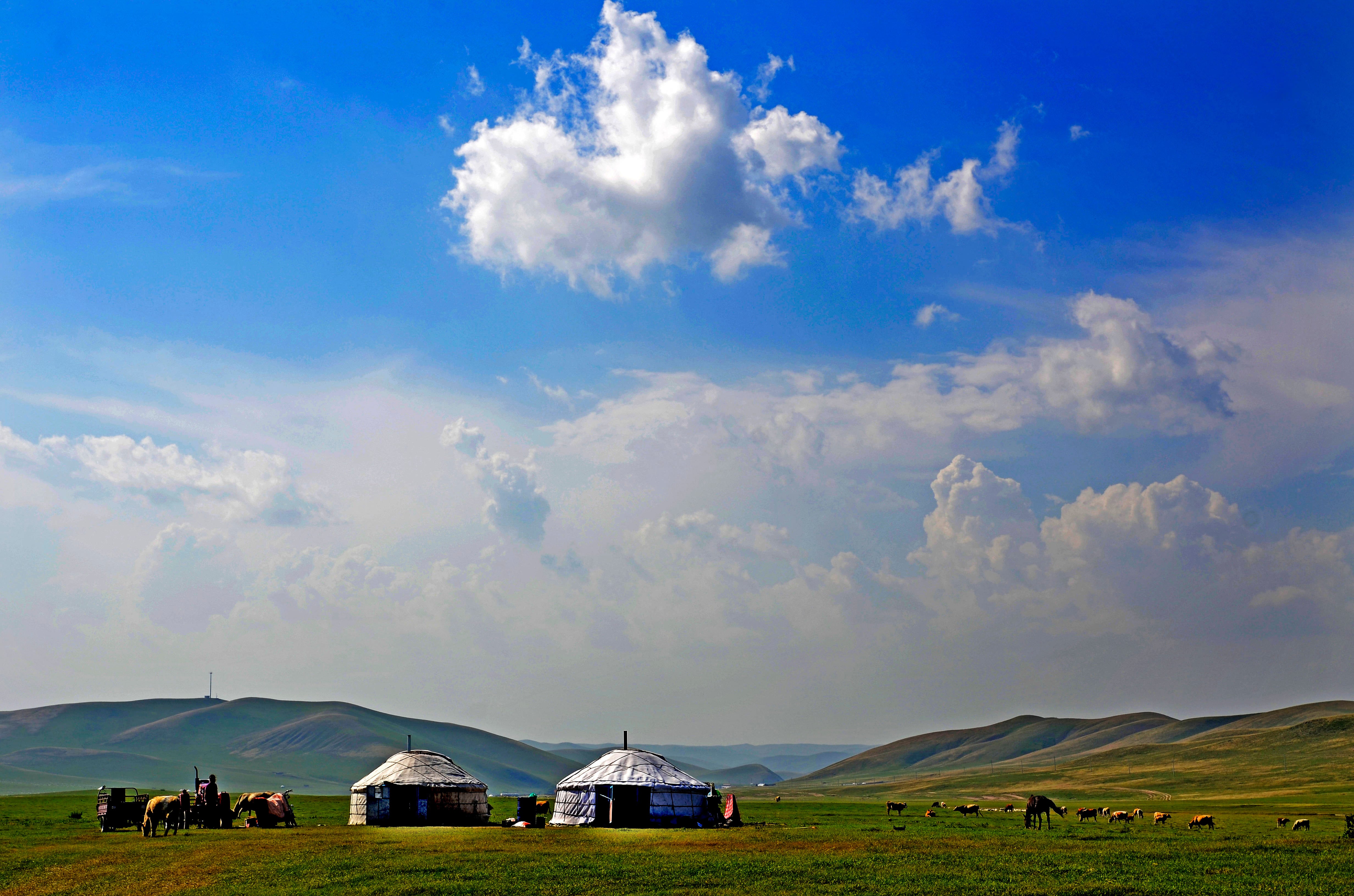 Rejser til Mongoliet - Panoramaudsigt over grønne sletter med hytter og bjerge og blå himmel i baggrunden