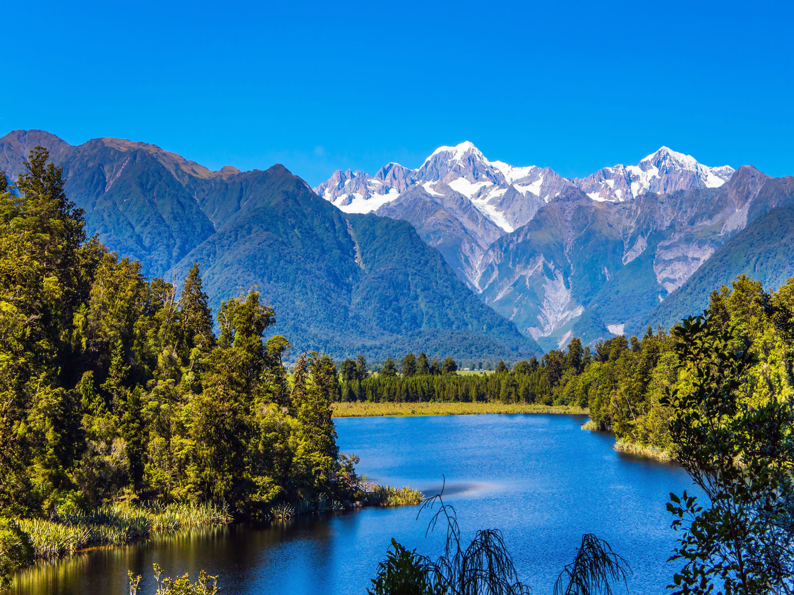 Flod gennem skov i New Zealand med hvide bjergtoppe i baggrunden