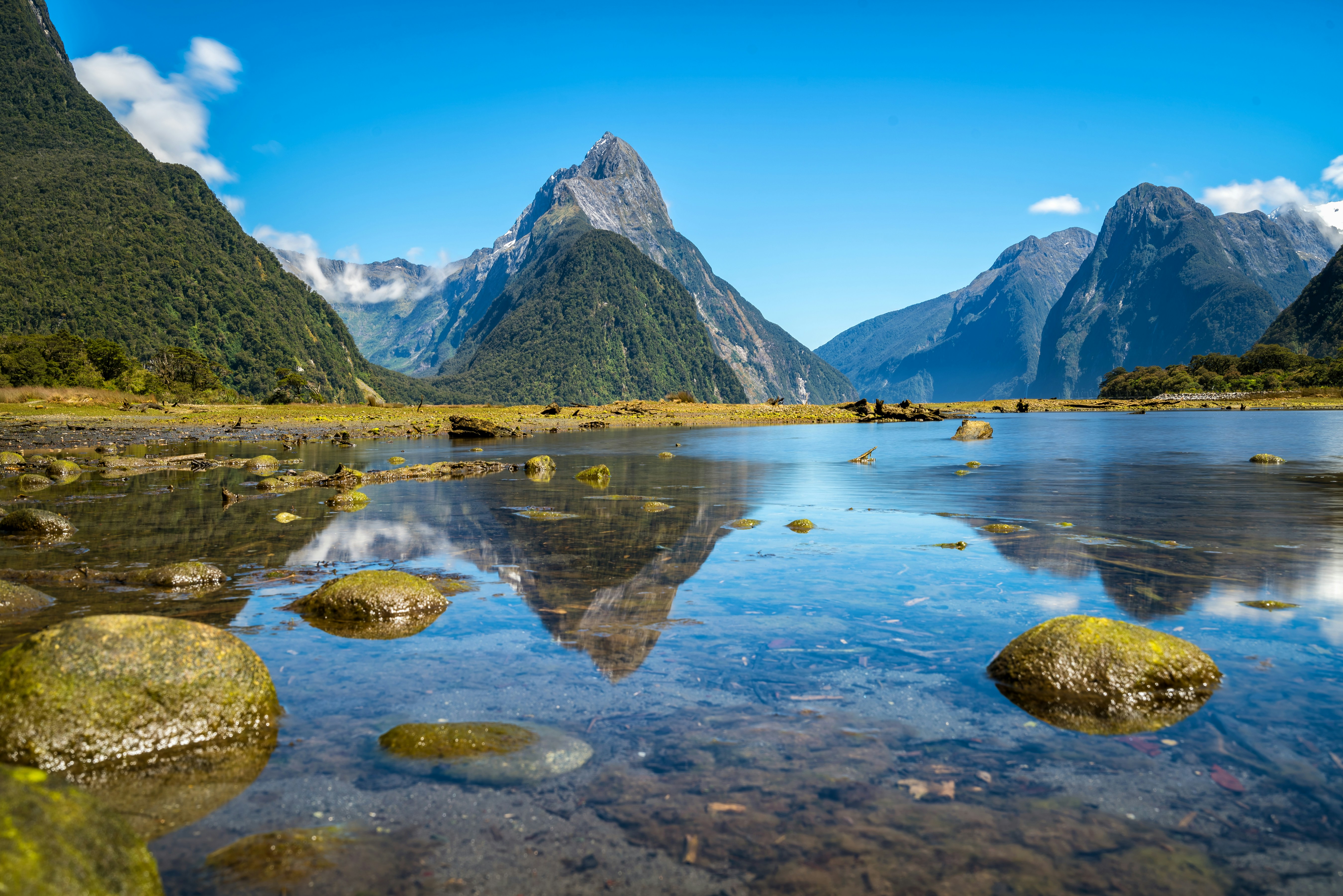 Sø i New Zealand med grønne områder rundt omkring og bjerge i baggrunden