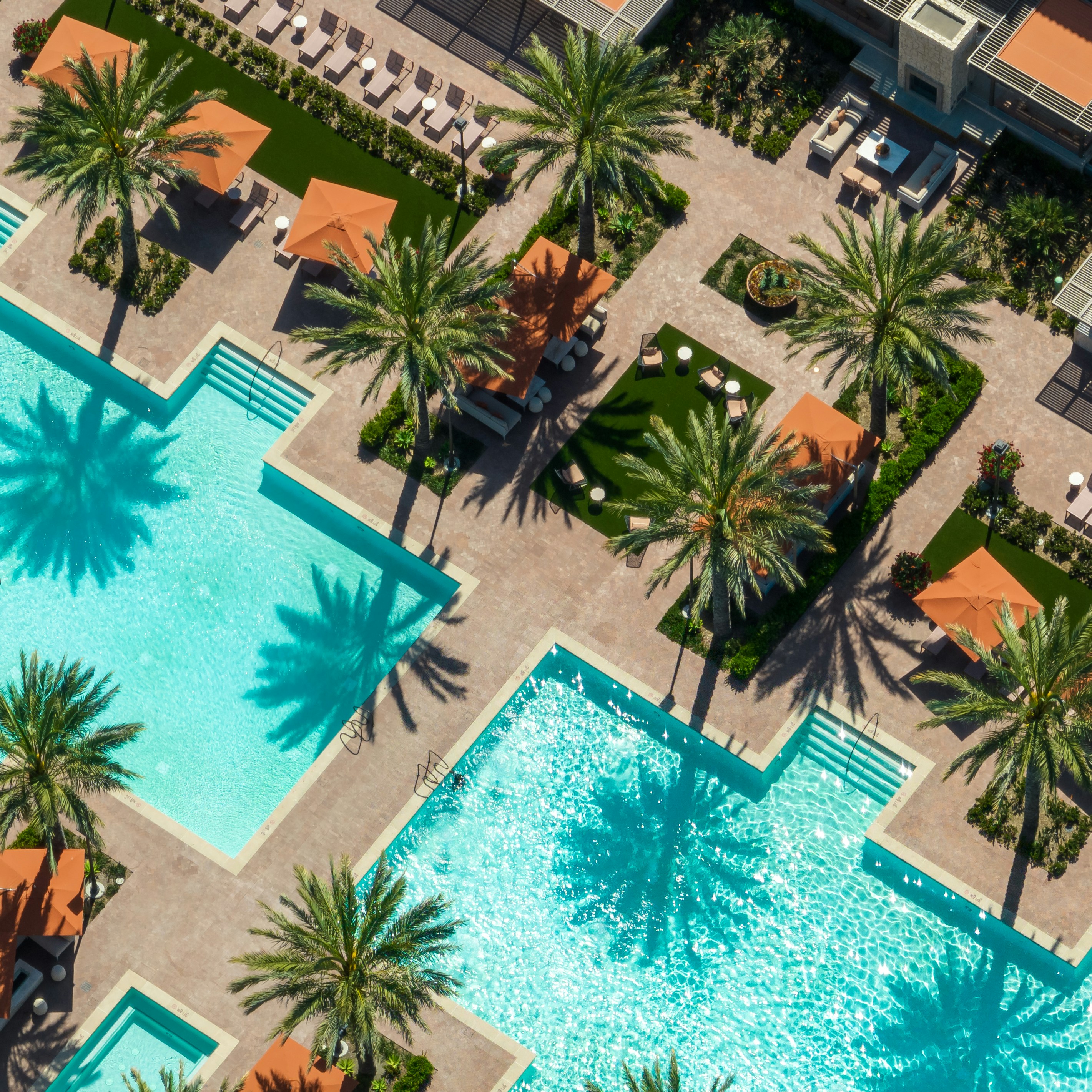 A view from above of a pool with palm trees all around
